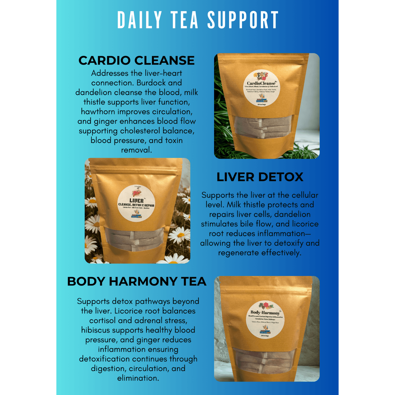 Daily Tea Support infographic featuring Cardio Cleanse, Liver Detox, and Body Harmony herbal tea pouches.